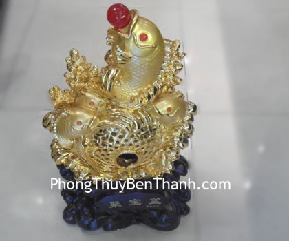 ca-bon-tu-bao-y174-01