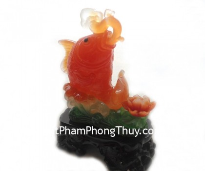 ca-do-mau-don-e183-1