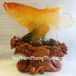 ca-kim-long-vang-e200-2