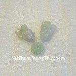 ca-mat-loi-myanmar-s849