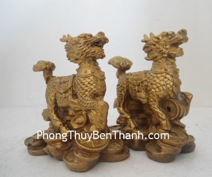 cap-ky-lan-dong-nho-d1116-01