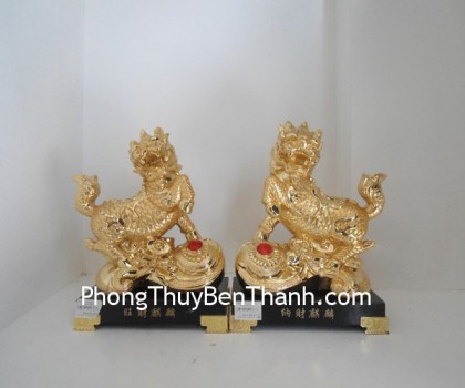 cap-ky-lan-nho-y298-02