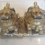 cap-ty-huu-dong-ngoi-d1115