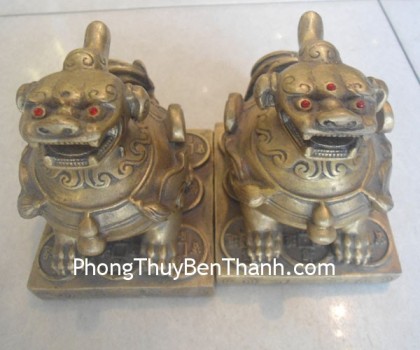 cap-ty-huu-dong-ngoi-d1115