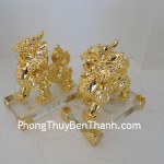 cap-ty-huu-vuong-tai-y300-01