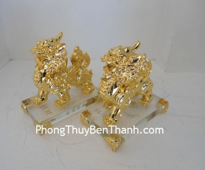 cap-ty-huu-vuong-tai-y300-01