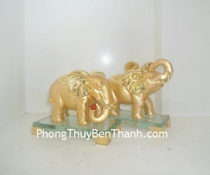 cap-voi-vang-y304-01