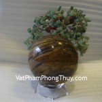 cau-da-mat-meo-QC204-4772