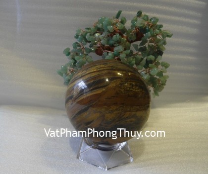 cau-da-mat-meo-QC204-4772