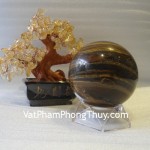 cau-da-mat-meo-qc204-2598-2