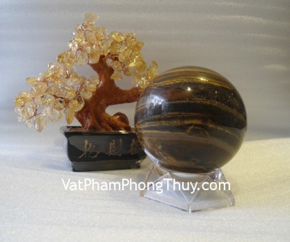 cau-da-mat-meo-qc204-2598-2