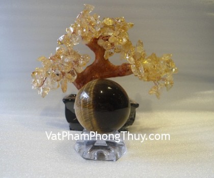 cau-da-mat-meo-qc204-490-1