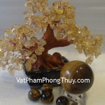 cau-da-mat-meo-qc204-509-1