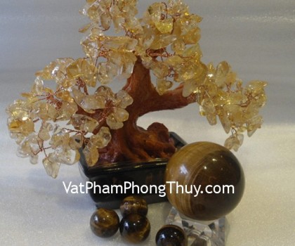 cau-da-mat-meo-qc204-509-1