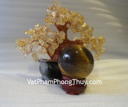 cau-da-mat-meo-qc204-620-2