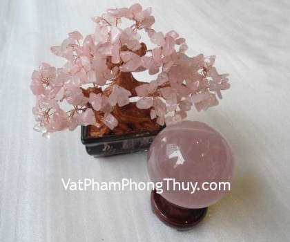 cau-thach-anh-hong-qc201-1257-2