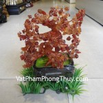 cay-da-ma-nao-do-6-de-ca211-02