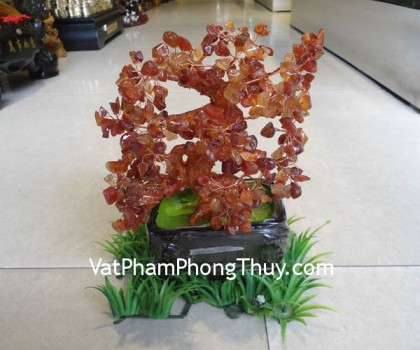 cay-da-ma-nao-do-6-de-ca211-02