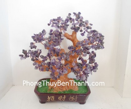 cay-tai-loc-DT127-02