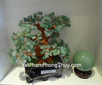 cay-tai-loc-ngoc-dong-linh-ca210-02