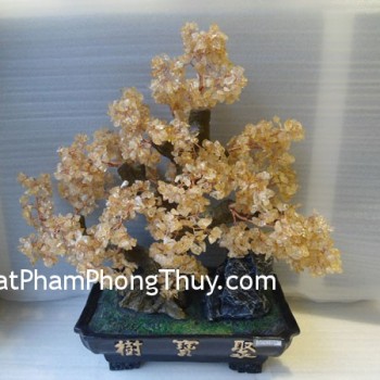 cay-thach-anh-ca202-02