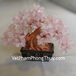 cay-thach-anh-hong-ca214-01