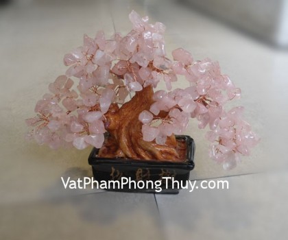 cay-thach-anh-hong-ca214-01