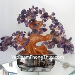 cay-thach-anh-tim-ca213-02