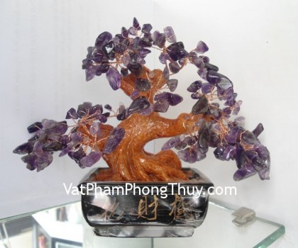 cay-thach-anh-tim-ca213-02