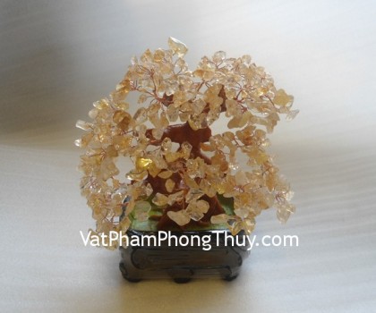 cay-thach-anh-vang-ca207-2