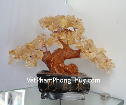 cay-thach-anh-vang-ca212