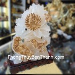 chim-khuyen-hoa-cuc-02