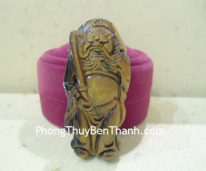 chung-quy-da-mat-meo