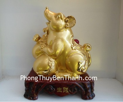 chuot-sanh-tai-y358-02