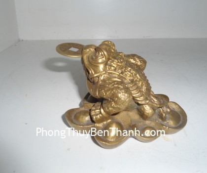 coc-dong-nho-d1122-01