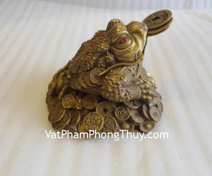 coc-dong-trung-g204-2