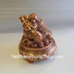 coc-gia-dong-E076-02