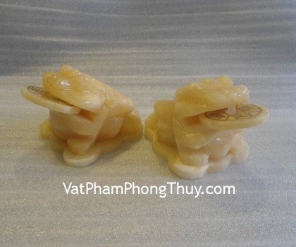 coc-hoang-long-nho-m042