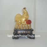 ga-dai-cat-dai-loi-y277-02