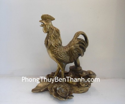 ga-dong-lon-01-d1124