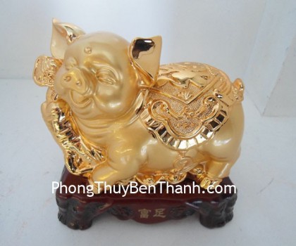 heo-om-cu-sam-y317-02