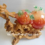 ho-lo-cam-lon-e222-1