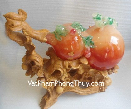 ho-lo-cam-lon-e222-1