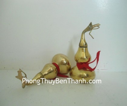 ho-lo-dong-nho-d1107