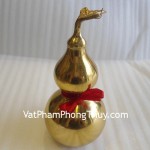 ho-lo-dong-tron-lon-g215-2