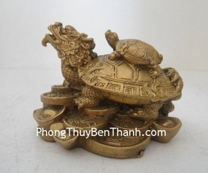 long-quy-dong-nho-d1120-02