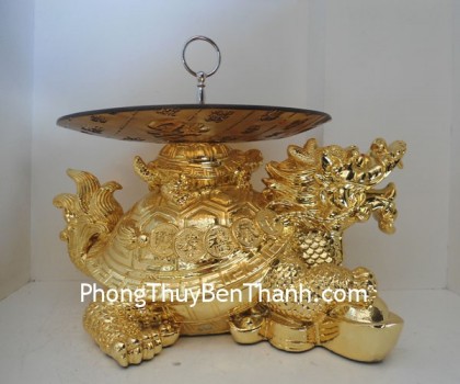 long-quy-trai-cay-y190-02