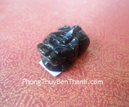 mat-nhan-ty-huu-thach-anh-den-s759-02