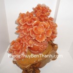 mau-don-phu-quy-binh-an-Y257-02