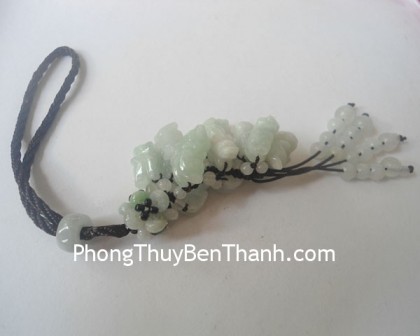 ngoc-boi-11-ty-huu-phi-thuy-s789